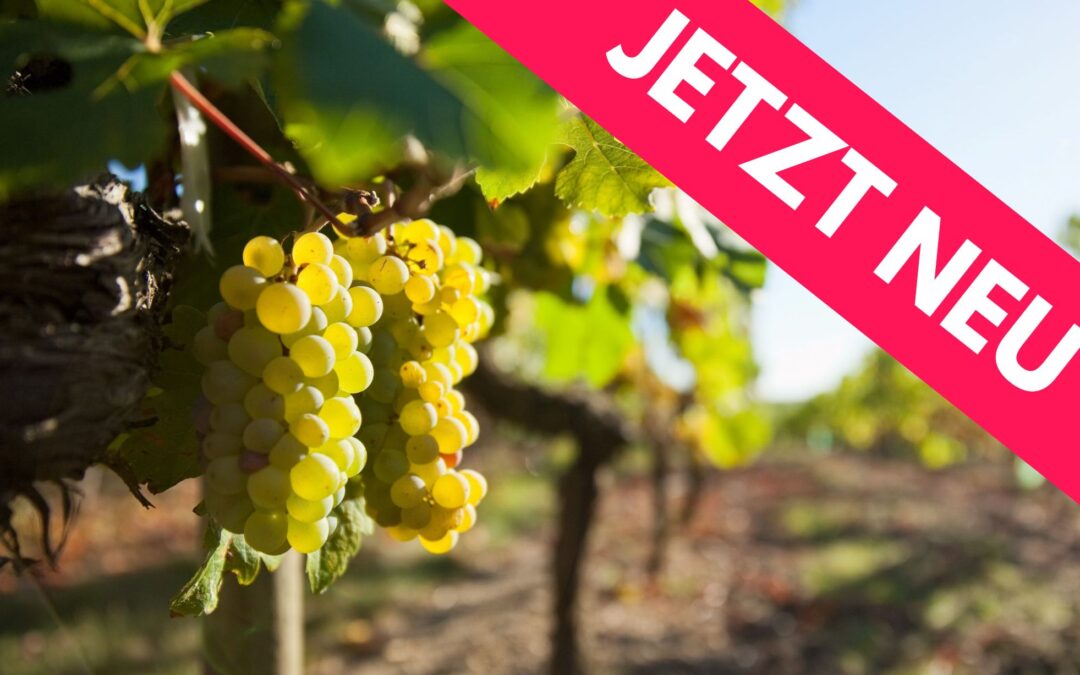 NEU – Fortbildung Sachkunde Pflanzenschutz – Winzer